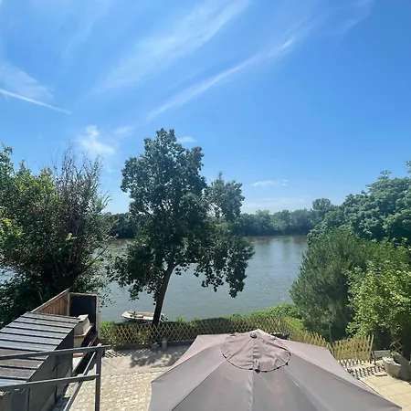Climatise Avec Privatif, Cheminees Decoratives Et Vue Sur Loire - Fr-1-622-90 בית נופש